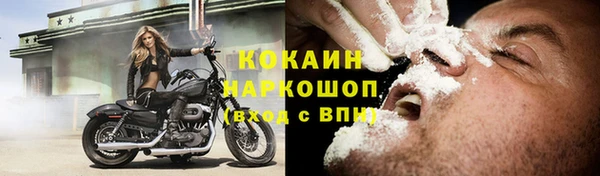 индика Баксан