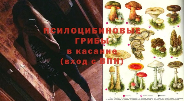 индика Баксан