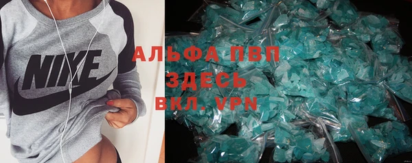 спиды Каменка