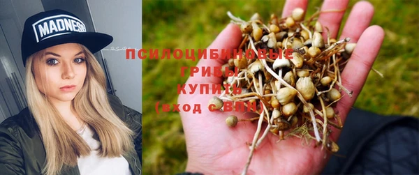 таблы Армянск